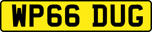 WP66DUG