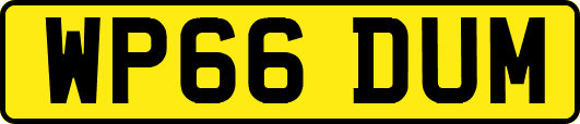 WP66DUM