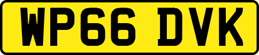 WP66DVK