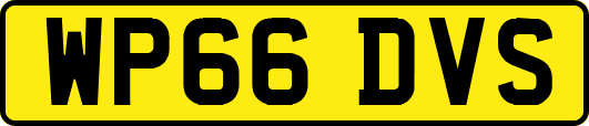 WP66DVS