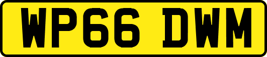 WP66DWM