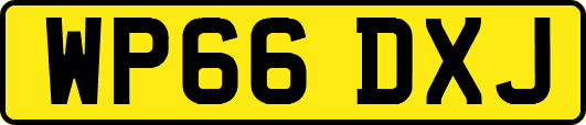 WP66DXJ
