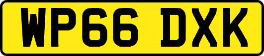 WP66DXK