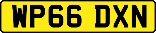 WP66DXN