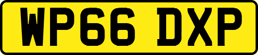 WP66DXP