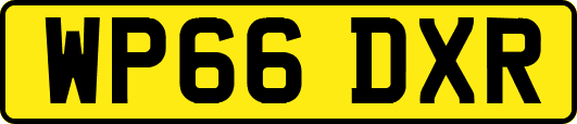 WP66DXR