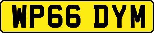 WP66DYM