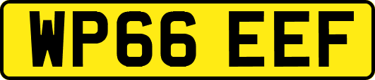 WP66EEF