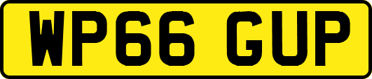 WP66GUP