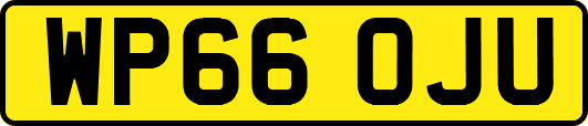 WP66OJU