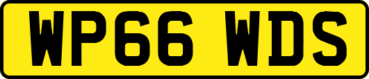 WP66WDS