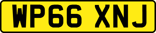 WP66XNJ
