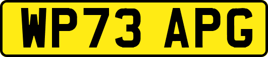 WP73APG