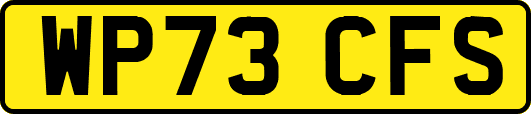 WP73CFS