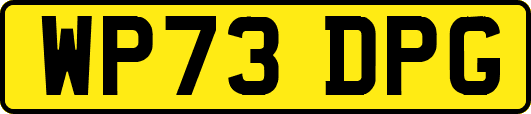 WP73DPG