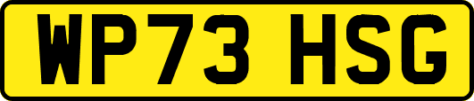 WP73HSG