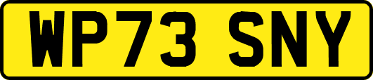 WP73SNY