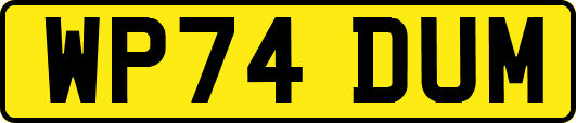 WP74DUM