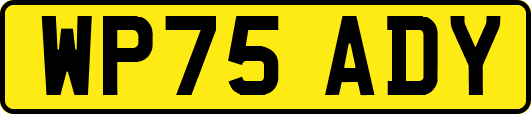 WP75ADY