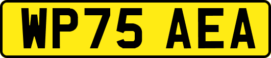 WP75AEA