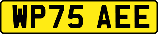 WP75AEE