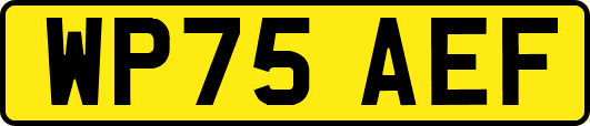 WP75AEF