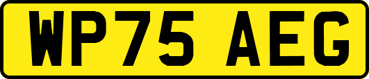 WP75AEG