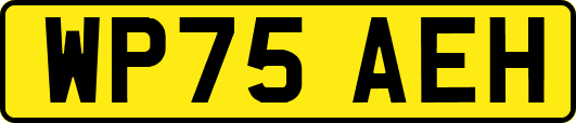 WP75AEH