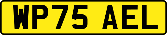 WP75AEL