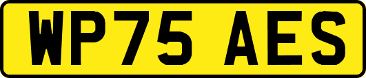 WP75AES