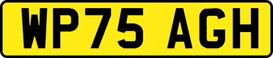 WP75AGH
