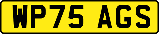 WP75AGS