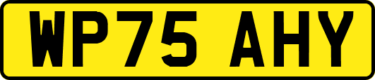 WP75AHY