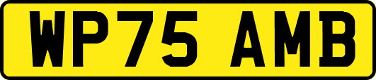 WP75AMB