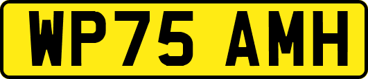 WP75AMH