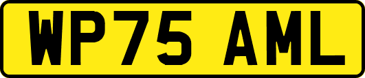 WP75AML