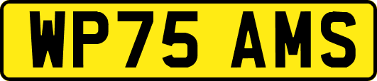 WP75AMS