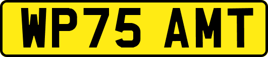WP75AMT