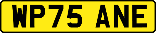 WP75ANE