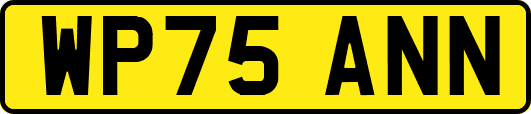 WP75ANN