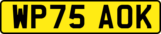 WP75AOK