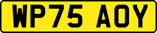 WP75AOY