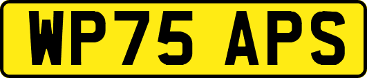 WP75APS