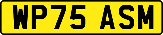 WP75ASM