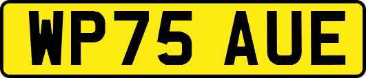 WP75AUE