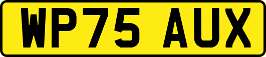 WP75AUX