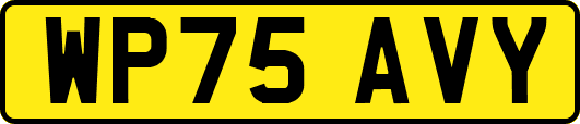 WP75AVY