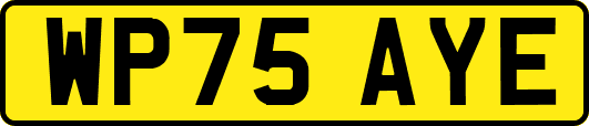 WP75AYE