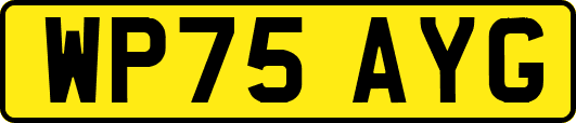 WP75AYG