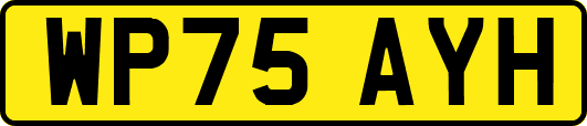 WP75AYH